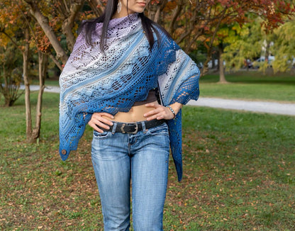 Frozen Iris Lace Shawl Crochet Pattern PDF